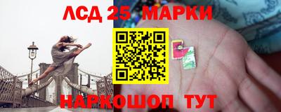 прущие грибы Шелехов