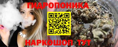 шишки Шахты