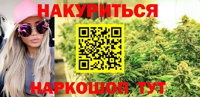 шишки Шахты