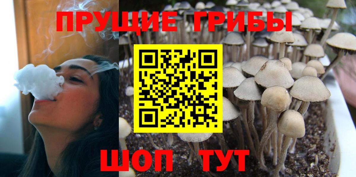 Галлюциногенные грибы Magic Shrooms Лениногорск