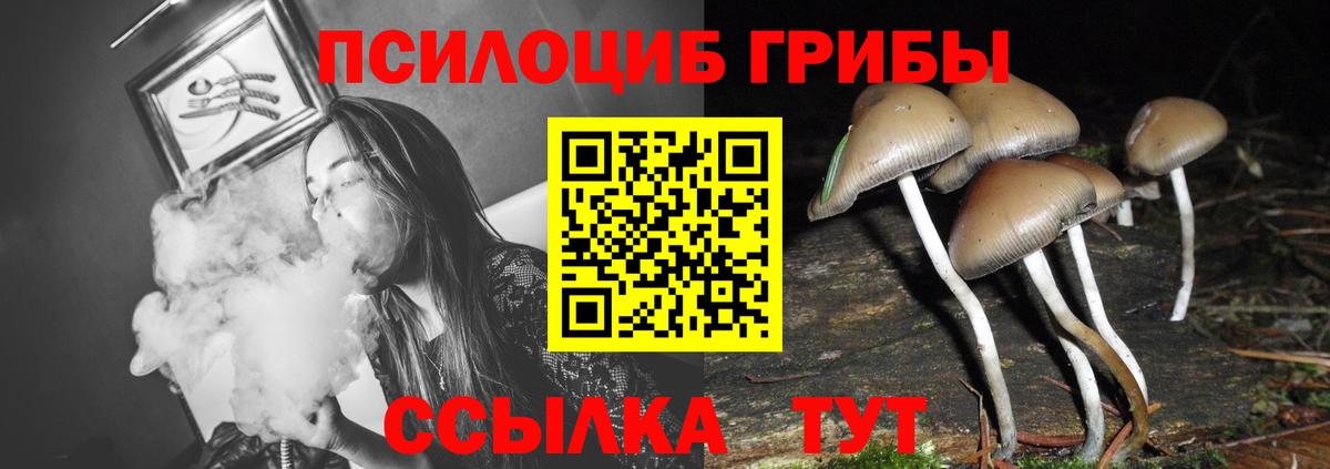 Псилоцибиновые грибы MAGIC MUSHROOMS  Вход с VPN  Лениногорск 